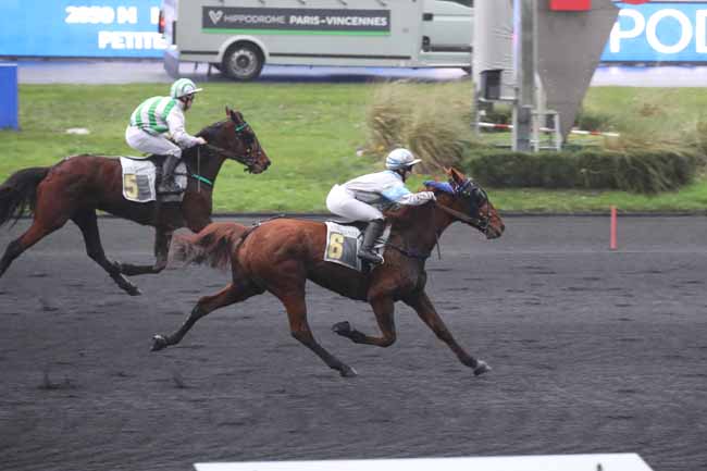 Photo d'arrivée de la course pmu PRIX DE PEZENAS à PARIS-VINCENNES le Jeudi 5 janvier 2023