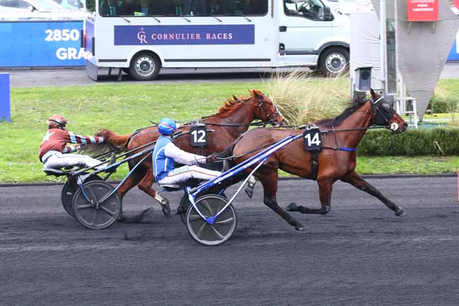 Photo d'arrivée de la course pmu PRIX DE SALON DE PROVENCE à PARIS-VINCENNES le Dimanche 8 janvier 2023