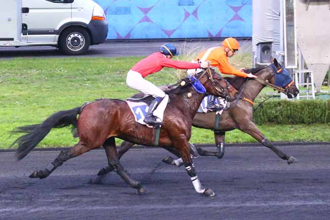 Photo d'arrivée de la course pmu PRIX DU CALVADOS - CORNULIER RACES Q3 à PARIS-VINCENNES le Dimanche 8 janvier 2023