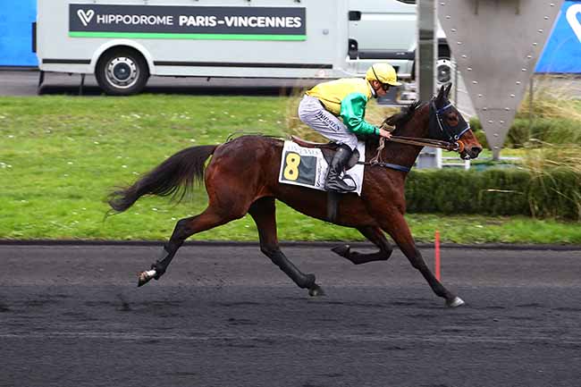 Photo d'arrivée de la course pmu PRIX DE CHEVERNY à PARIS-VINCENNES le Lundi 9 janvier 2023