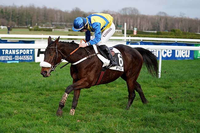 Photo d'arrivée de la course pmu PRIX PMU «LA HOURQUE CAFE» - MORLAAS (PRIX PAUL LARREGAIN) à PAU le Mercredi 11 janvier 2023