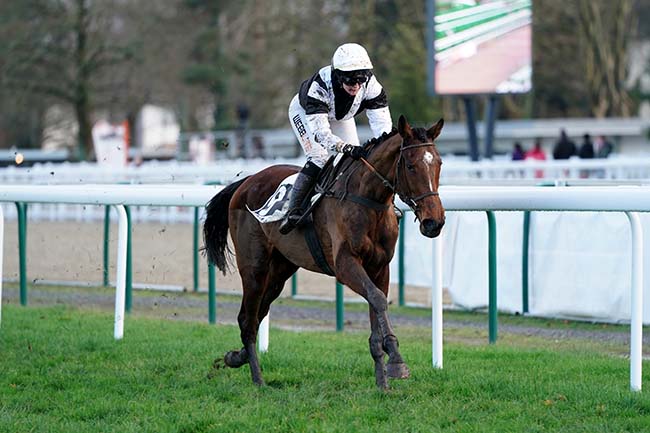 Photo d'arrivée de la course pmu PRIX PMU «LE BISTROT DU STADE MONTOIS» - MONT-DE-MARSAN (PRIX DE SAN SEBASTIAN-DONOSTIA) à PAU le Mercredi 11 janvier 2023
