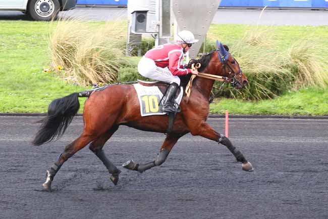 Photo d'arrivée de la course pmu PRIX DE BOLLENE à PARIS-VINCENNES le Vendredi 13 janvier 2023