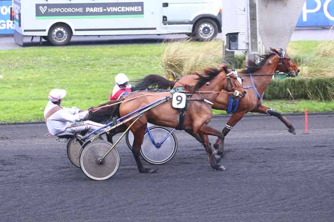 Photo d'arrivée de la course pmu PRIX DE QUESTEMBERT à PARIS-VINCENNES le Samedi 14 janvier 2023
