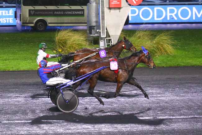 Photo d'arrivée de la course pmu PRIX DE SAINT-FLOUR à PARIS-VINCENNES le Samedi 14 janvier 2023