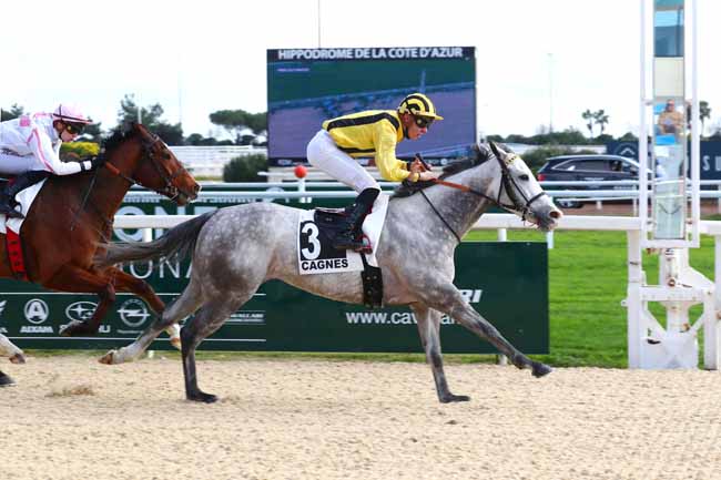 Photo d'arrivée de la course pmu PRIX DU PRADO à CAGNES-SUR-MER le Lundi 16 janvier 2023