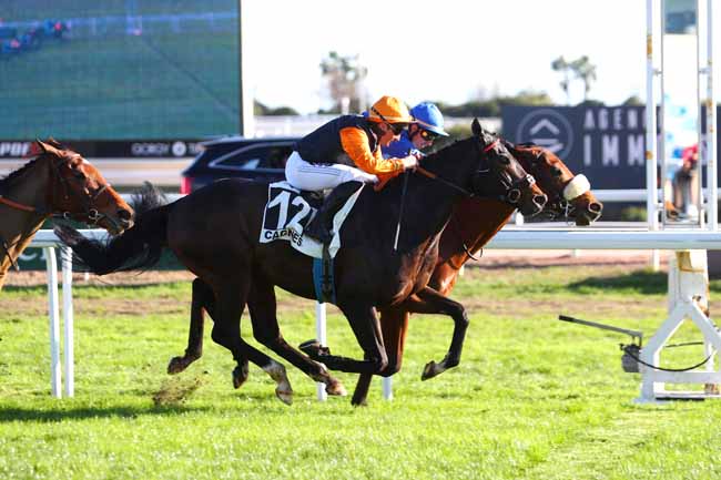 Photo d'arrivée de la course pmu PRIX DE MARSEILLE à CAGNES-SUR-MER le Lundi 16 janvier 2023