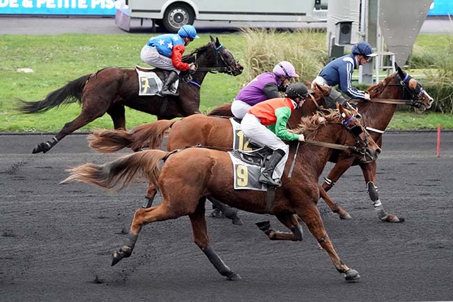 Photo d'arrivée de la course pmu PRIX DE BAYONNE à PARIS-VINCENNES le Mardi 17 janvier 2023