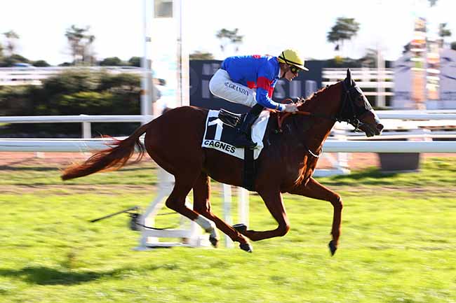 Photo d'arrivée de la course pmu PRIX DES ILES DU FRIOUL à CAGNES-SUR-MER le Mercredi 18 janvier 2023