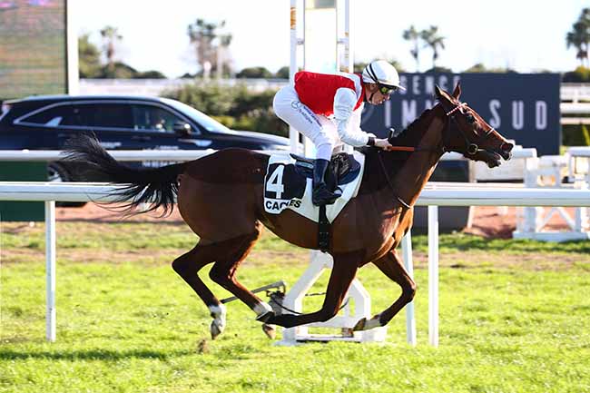 Photo d'arrivée de la course pmu PRIX DE LA CORNICHE FLEURIE à CAGNES-SUR-MER le Mercredi 18 janvier 2023