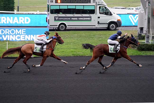 Photo d'arrivée de la course pmu PRIX DE LA FERTE-BERNARD à PARIS-VINCENNES le Jeudi 19 janvier 2023