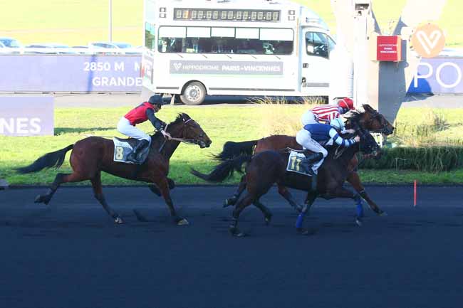 Photo d'arrivée de la course pmu PRIX D'EVRAN à PARIS-VINCENNES le Samedi 21 janvier 2023