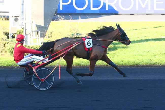 Photo d'arrivée de la course pmu PRIX DE MAISONS-LAFFITTE à PARIS-VINCENNES le Samedi 21 janvier 2023
