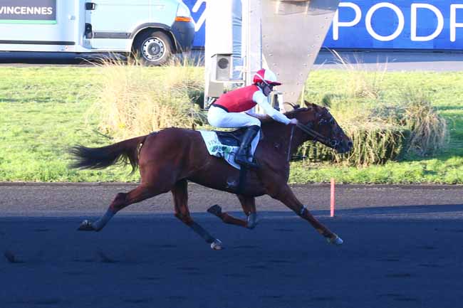 Photo d'arrivée de la course pmu PRIX DE PARDIEU à PARIS-VINCENNES le Samedi 21 janvier 2023