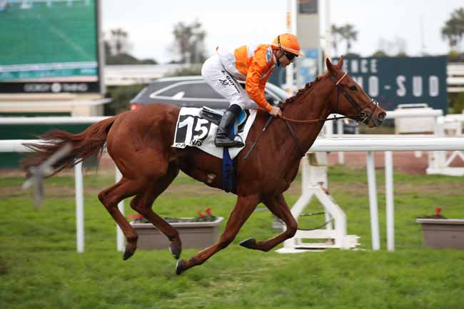 Photo d'arrivée de la course pmu PRIX DU VAL CAREI à CAGNES-SUR-MER le Lundi 23 janvier 2023