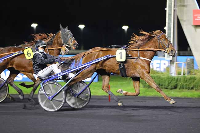 Photo d'arrivée de la course pmu PRIX DU LION D'ANGERS à PARIS-VINCENNES le Lundi 23 janvier 2023