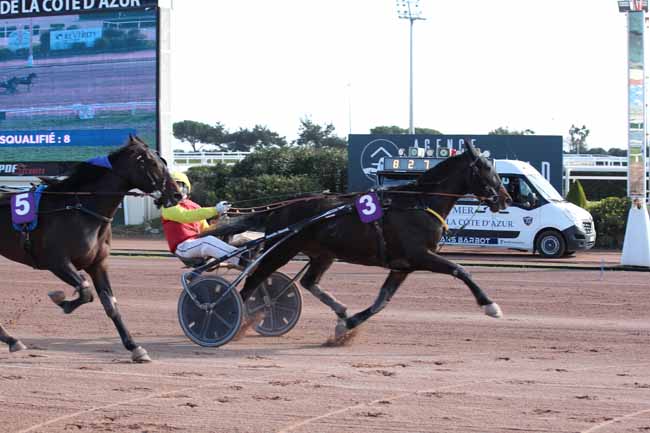 Photo d'arrivée de la course pmu PRIX TIGRE ROYAL à CAGNES-SUR-MER le Mardi 24 janvier 2023