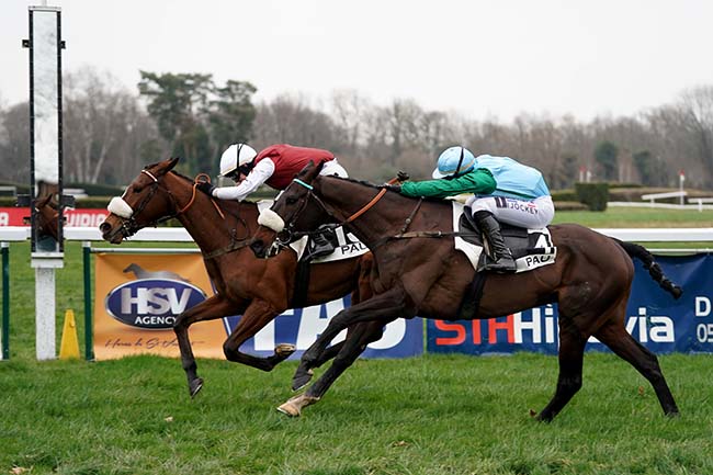 Photo d'arrivée de la course pmu PRIX ETALON CASTLE DU BERLAIS (PRIX RENE CRAMAIL) à PAU le Mercredi 25 janvier 2023