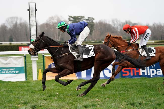 Photo d'arrivée de la course pmu PRIX DE LA BIGORRE à PAU le Mercredi 25 janvier 2023
