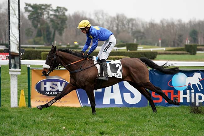 Photo d'arrivée de la course pmu PRIX AL CAPONE II à PAU le Mercredi 25 janvier 2023