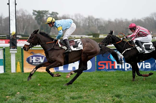 Photo d'arrivée de la course pmu PRIX DE FEZENSAC à PAU le Mercredi 25 janvier 2023