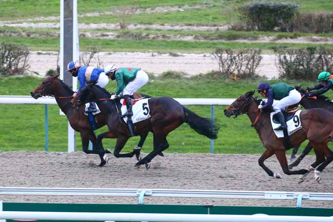 Photo d'arrivée de la course pmu PRIX DU SARCOPHAGE MEROVINGIEN à DEAUVILLE le Samedi 28 janvier 2023