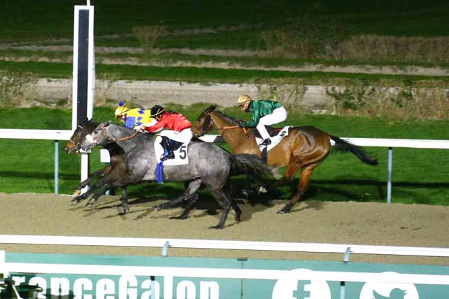Photo d'arrivée de la course pmu PRIX DU HOME à DEAUVILLE le Samedi 28 janvier 2023