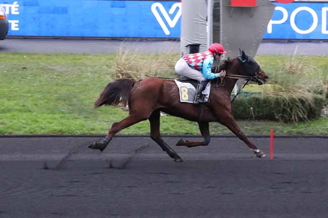 Photo d'arrivée de la course pmu PRIX DE CALAIS à PARIS-VINCENNES le Lundi 30 janvier 2023