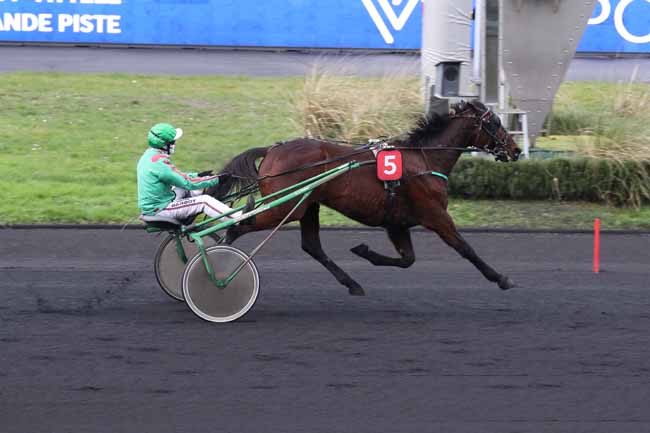 Photo d'arrivée de la course pmu PRIX ELMA à PARIS-VINCENNES le Lundi 30 janvier 2023