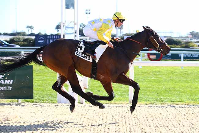 Photo d'arrivée de la course pmu PRIX ADOLPHE ROSSIO à CAGNES-SUR-MER le Mardi 31 janvier 2023