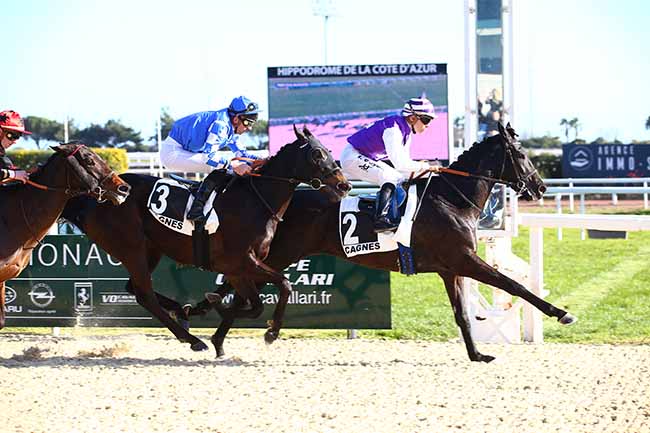 Photo d'arrivée de la course pmu PRIX DES BLEUETS à CAGNES-SUR-MER le Mardi 31 janvier 2023
