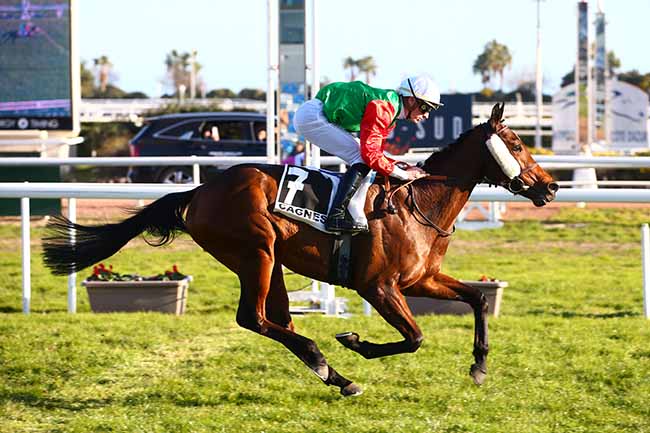 Photo d'arrivée de la course pmu PRIX DES ORANGERS à CAGNES-SUR-MER le Mardi 31 janvier 2023