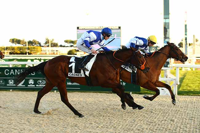 Photo d'arrivée de la course pmu PRIX DES GRILLONS à CAGNES-SUR-MER le Mardi 31 janvier 2023
