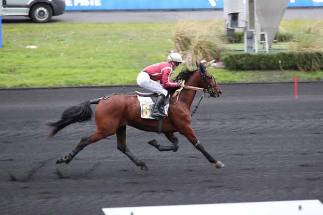 Photo d'arrivée de la course pmu PRIX DE CHOLET à PARIS-VINCENNES le Jeudi 2 février 2023