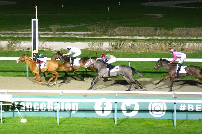 Photo d'arrivée de la course pmu PRIX DU NICE HAVRAIS à DEAUVILLE le Vendredi 3 février 2023