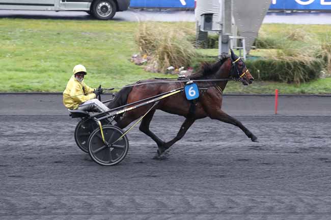 Photo d'arrivée de la course pmu PRIX D'AVIGNON à PARIS-VINCENNES le Samedi 4 février 2023
