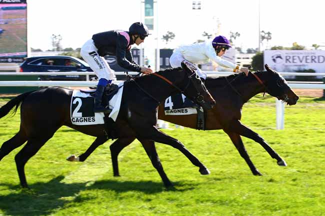 Photo d'arrivée de la course pmu PRIX DE FUVEAU à CAGNES-SUR-MER le Mardi 7 février 2023