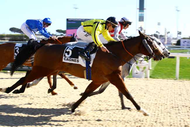 Photo d'arrivée de la course pmu PRIX DE L'ESTRAGON à CAGNES-SUR-MER le Mardi 7 février 2023