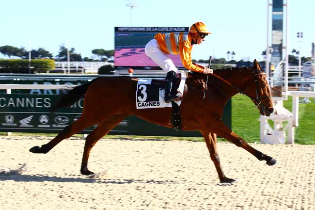Photo d'arrivée de la course pmu PRIX BOGEVE à CAGNES-SUR-MER le Mardi 7 février 2023