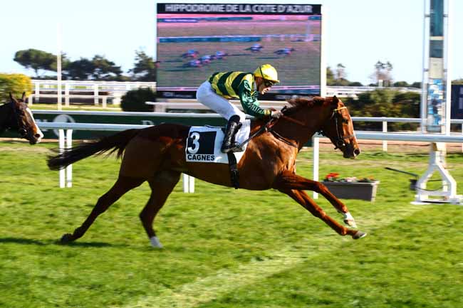 Photo d'arrivée de la course pmu PRIX DE PUYRICARD à CAGNES-SUR-MER le Mardi 7 février 2023