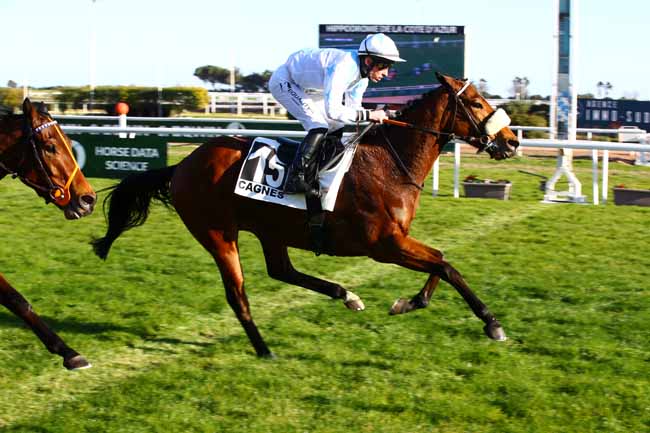 Photo d'arrivée de la course pmu PRIX LORD DU SUD à CAGNES-SUR-MER le Mardi 7 février 2023
