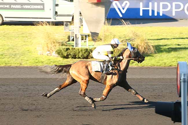 Photo d'arrivée de la course pmu PRIX DE FONTENAY-EN-PARISIS à PARIS-VINCENNES le Mercredi 8 février 2023