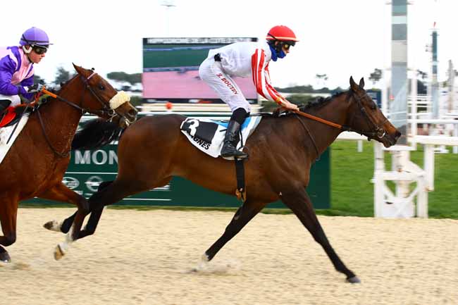 Photo d'arrivée de la course pmu PRIX DES GENEVRIERS à CAGNES-SUR-MER le Jeudi 9 février 2023