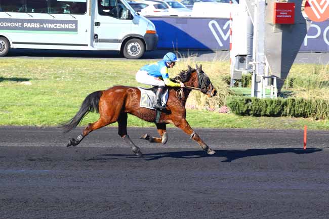 Photo d'arrivée de la course pmu PRIX DE COLMAR à PARIS-VINCENNES le Mardi 14 février 2023