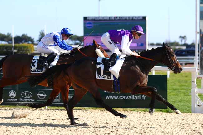 Photo d'arrivée de la course pmu PRIX DES LAVANDES à CAGNES-SUR-MER le Mercredi 15 février 2023