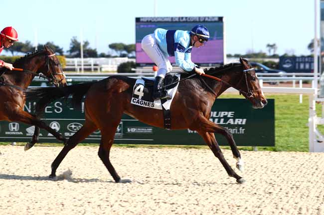 Photo d'arrivée de la course pmu PRIX DE L'ESTEREL à CAGNES-SUR-MER le Mercredi 15 février 2023