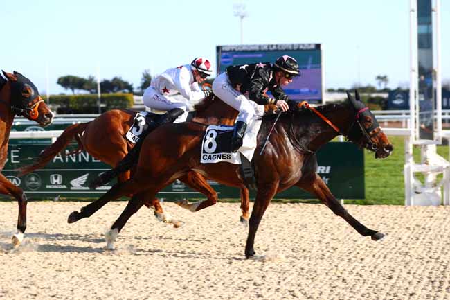 Photo d'arrivée de la course pmu PRIX DE LA MENTHE POIVREE à CAGNES-SUR-MER le Mercredi 15 février 2023