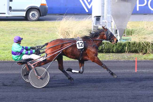 Photo d'arrivée de la course pmu PRIX DE CAUSSADE à PARIS-VINCENNES le Jeudi 16 février 2023