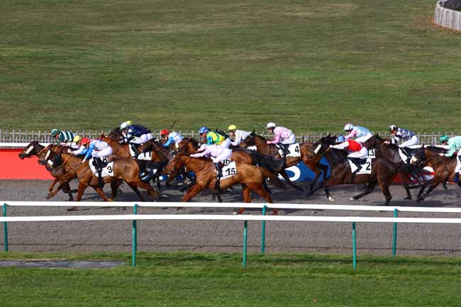 Photo d'arrivée de la course pmu PRIX DU CHEMIN DE COMPOSTELLE à CHANTILLY le Jeudi 16 février 2023