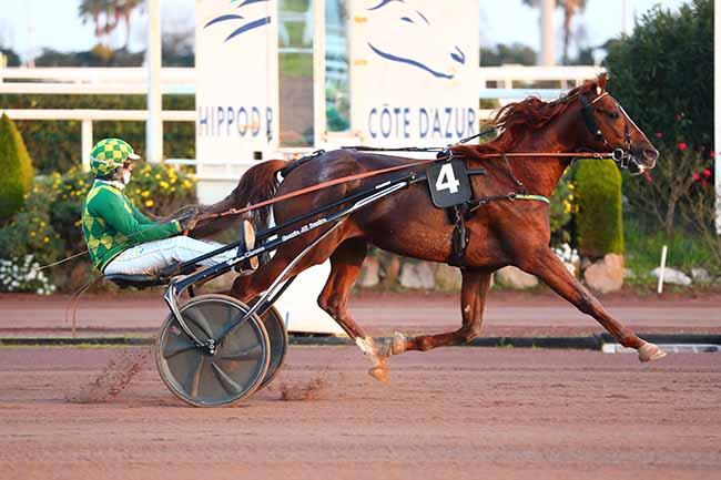 Photo d'arrivée de la course pmu PRIX HENRI CALLIER (PRIX JOURNAL 